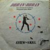A View To A Kill