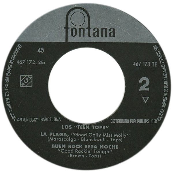 El Trepidante Rock And Roll De Los Teen Tops