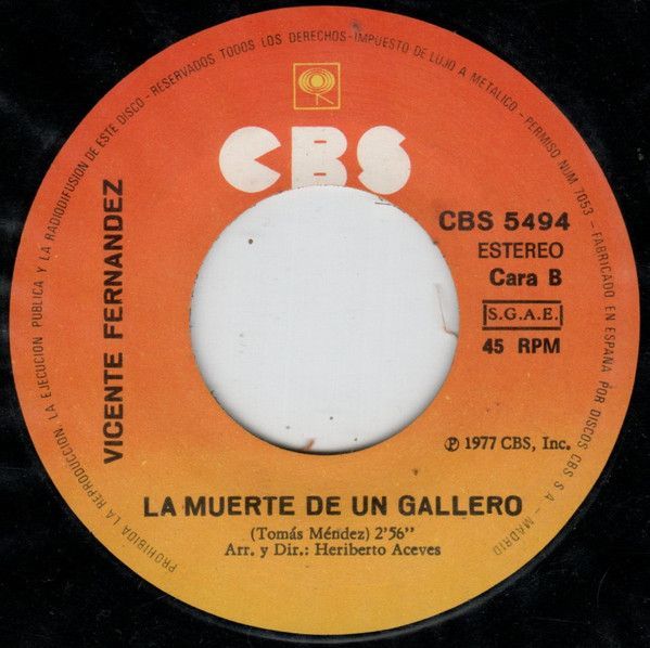 Te Voy A Olvidar