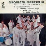MC0zNDI4LmpwZWc.jpeg Samba Fantástica / Siboney / Brasil / Bahía