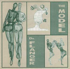 The Model
