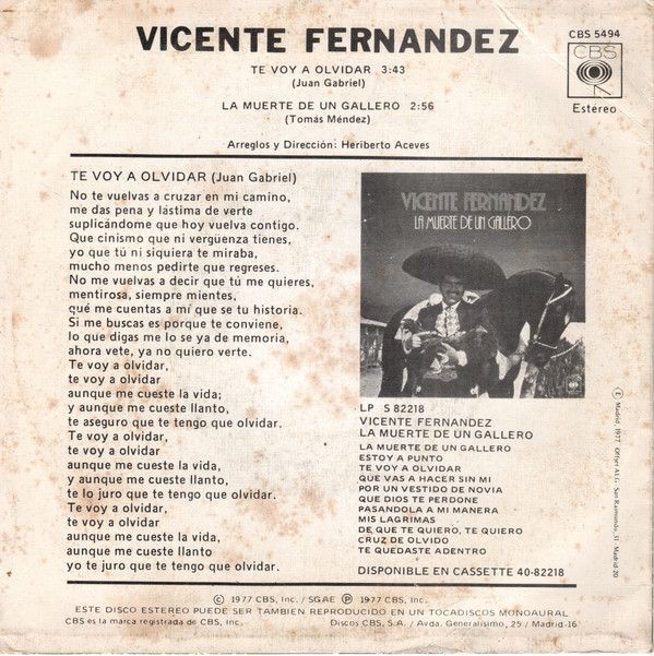 Te Voy A Olvidar