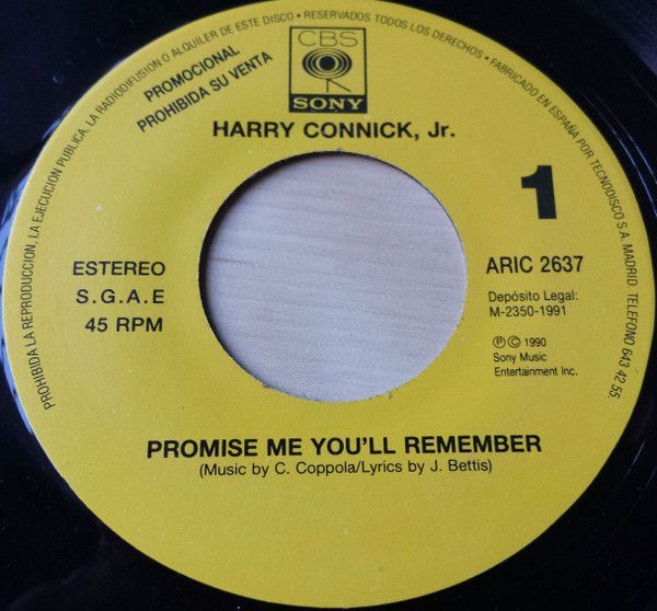MS0yMDQwLmpwZWc.jpeg Promise Me You'll Remember