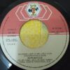 Mi03NTc5LmpwZWc-2.jpeg Sounds Like A Melody = Suena Como Una Melodia