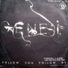 Follow You Follow Me