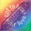 Got To Have Your Love