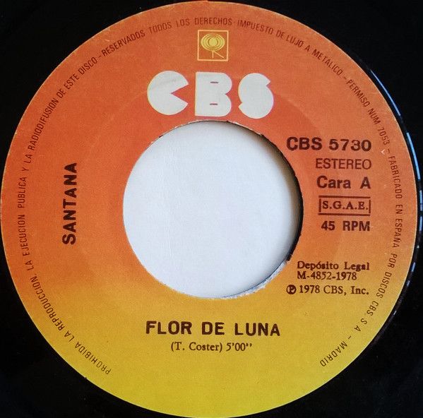 Mi0xMjk5LmpwZWc.jpeg Flor De Luna