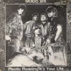 Mi5qcGVn-277.jpeg Plastic Flowers / It's Your Life
