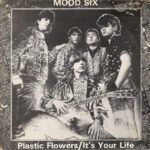 Plastic Flowers / It's Your Life