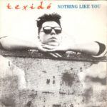 Nothing Like You