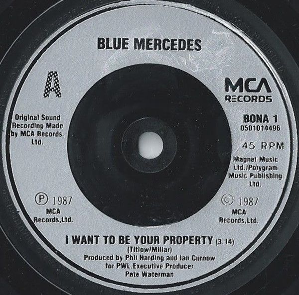 I Want To Be Your Property