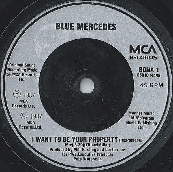I Want To Be Your Property