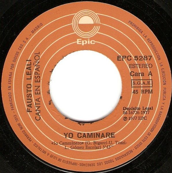 Yo Caminaré