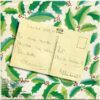Alegría, Alegría En La Ser