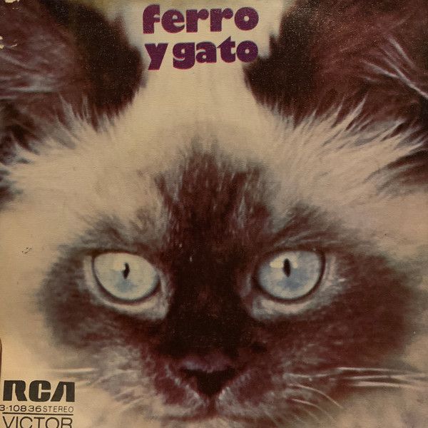 Ferro Y Gato