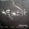 Follow You Follow Me