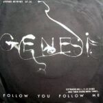 Follow You Follow Me