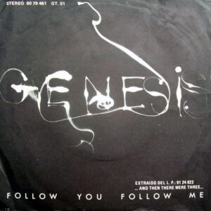 Follow You Follow Me