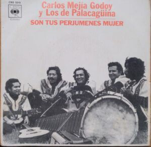 Son Tus Perjumenes Mujer