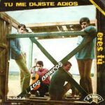 Tu Me Dijiste Adios