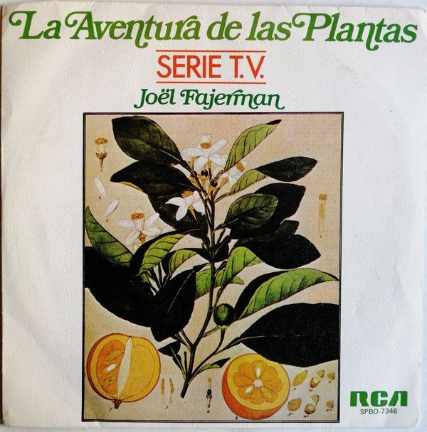 La Aventura De Las Plantas