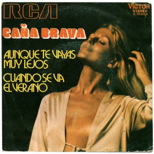 Aunque Te Vayas Muy Lejos / Cuando Se Va El Verano
