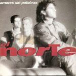 Amores Sin Palabras