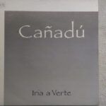 Iría A Verte