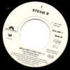 Because I Love You (The Postman Song)