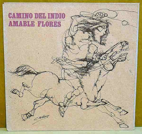 Camino Del Indio