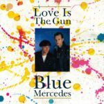 Love Is The Gun