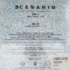 Scenario