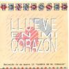 Llueve En Mi Corazon