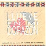 Llueve En Mi Corazon