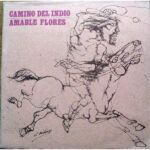 Camino Del Indio