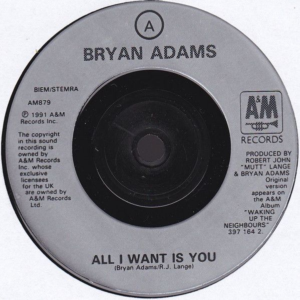 All I Want Is You