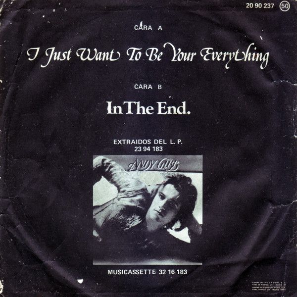I Just Want To Be Your Everything / In The End