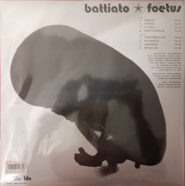 Foetus