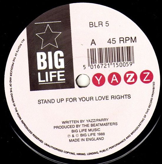 Stand Up For Your Love Rights