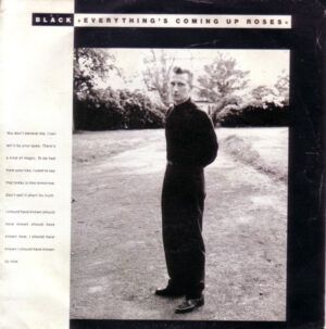 Everything's Coming Up Roses / Ravel In The Rain