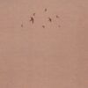 1327a345f6079d0571d30081d5539ce0cc41a26d_0_0.jpeg Your Naked Ghost Comes Back At Night