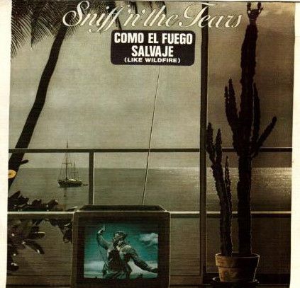 Como El Fuego Salvaje = Like Wildfire