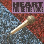 You're The Voice