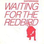 307231164353872a4121cbfad902c762ad46a6e0_0_0.jpeg Waiting For The Redbird