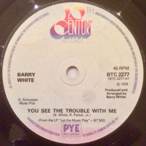 You See The Trouble With Me