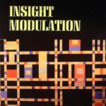 Insight Modulation