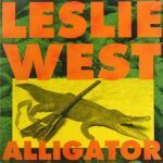 Alligator