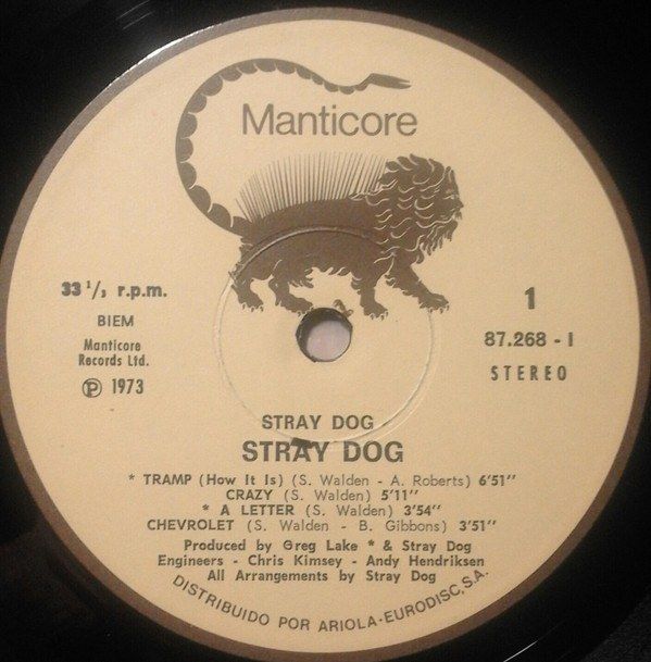 Stray Dog