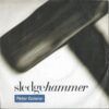 4f3c620412624ab72a8f0e70b4d24c65141de1f6_0_0.jpeg Sledgehammer