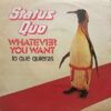 Whatever You Want = Lo Que Quieras